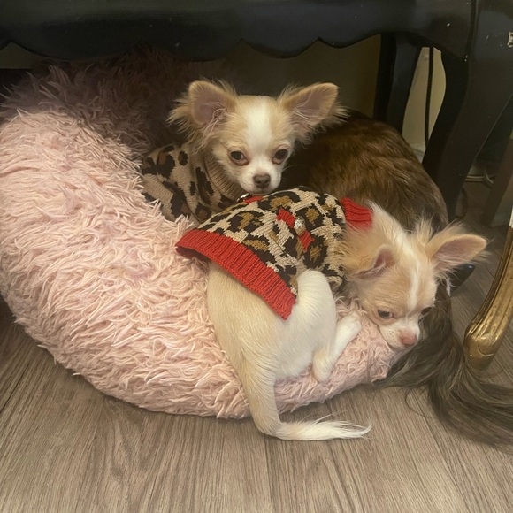 Meet your Posher, Erin - Picture 10 of 15